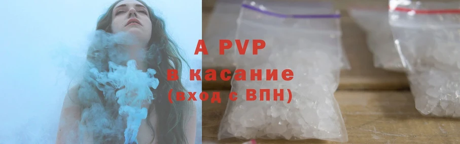 A-PVP СК КРИС  Урус-Мартан 